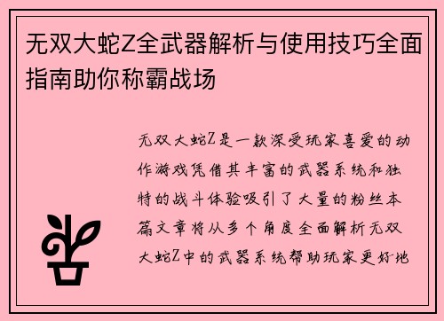 无双大蛇Z全武器解析与使用技巧全面指南助你称霸战场